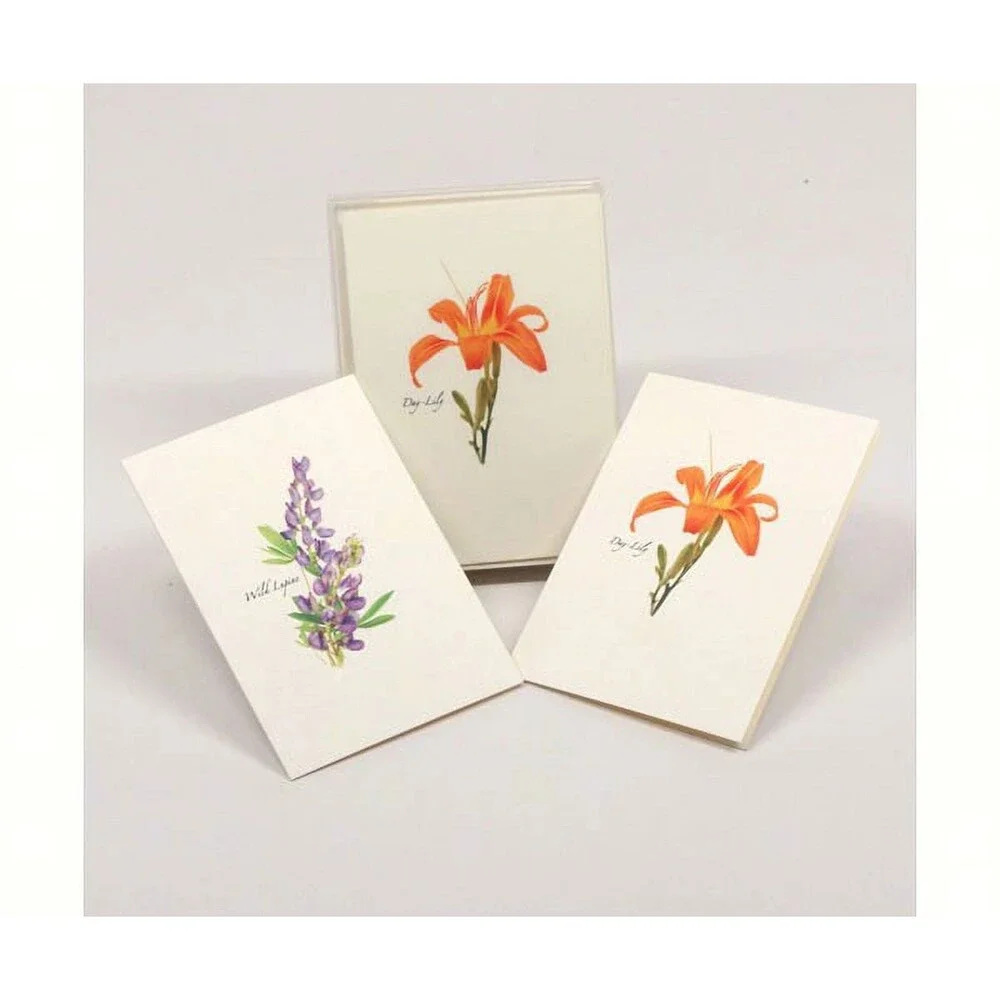 Steven M. Lewers Earth Sky Water LEWERSNC42 Wildflower Assortment Notecards (2 e